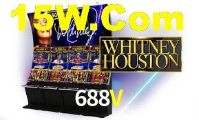 Programa VIP 688V